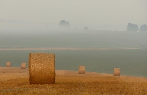Ciclismo de Estrada Hoje: Melhores Odds e Apostas ao Vivo